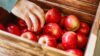 Mehrerer Holzkisten mit roten Äpfeln stehen auf einem Tisch. Eine Hand greift sich einen Apfel aus einer der Kisten.